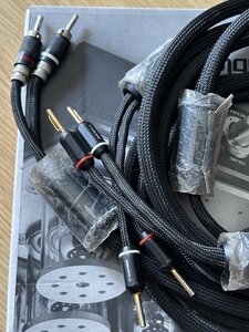 IMG_5729.jpeg
