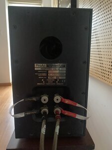 z4727028392407_7ec198223918775f25ad25d85f01dd9c.jpg