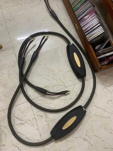 IMG_3911.jpeg