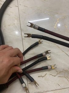 IMG_3915.jpeg