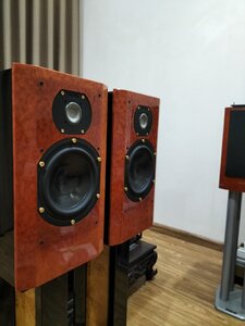 IMG20250112083159.jpg