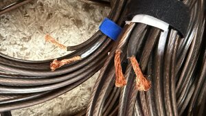 IMG_5300.jpeg
