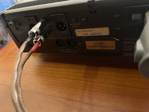 IMG_2464.jpeg