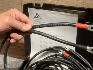 IMG_8772.jpeg