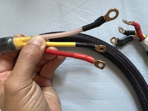 IMG_6350.jpeg