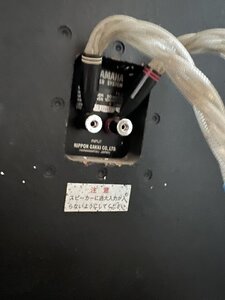 IMG_6887.jpeg