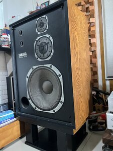 IMG_6886.jpeg