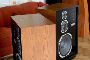 yamaha_fx_3-7.jpg