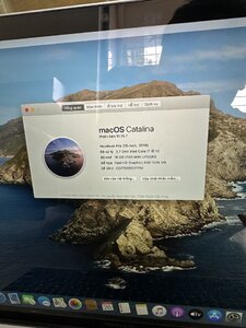 IMG_9373.jpeg