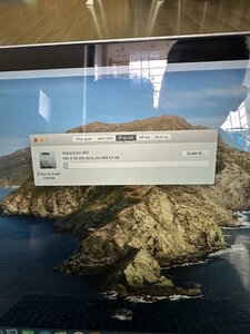 IMG_9374.jpeg