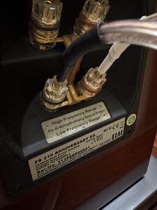IMG_4987.jpeg