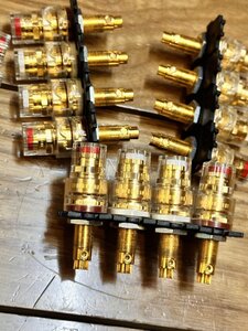 IMG_1291.jpeg