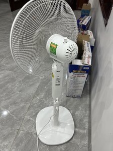 IMG_3637.jpeg
