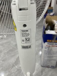 IMG_3638.jpeg