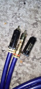 20250530_152825.jpg