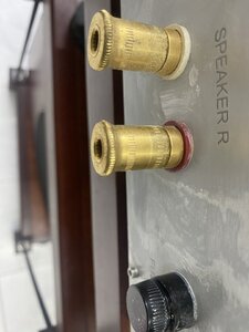 IMG_2042.jpeg