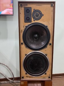 IMG_6500.jpeg