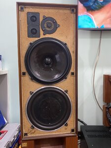 IMG_6503.jpeg