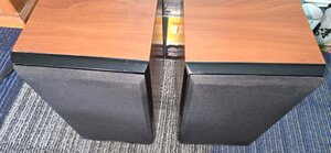 20250605_104831.jpg