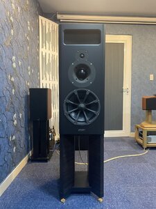 IMG_3769.jpeg