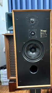 IMG_5267.jpeg