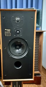 IMG_5262.jpeg