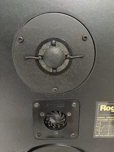 IMG_5591.jpeg