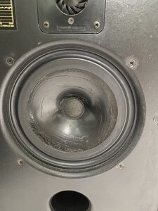 IMG_5596.jpeg