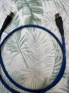 IMG_6954.jpeg