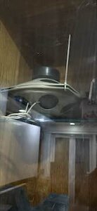 IMG_3331.jpeg