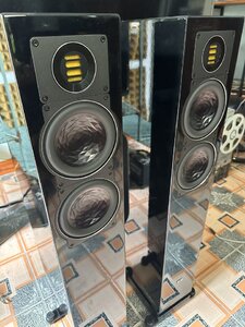 IMG_8126.jpeg