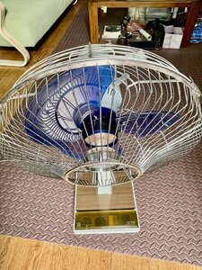 IMG_3646.jpeg