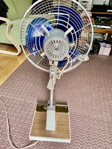 IMG_3644.jpeg