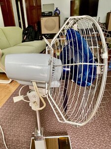 IMG_3643.jpeg