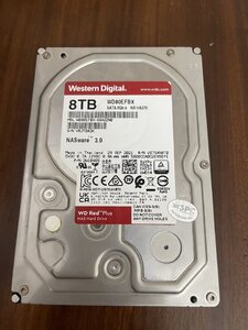 IMG_7118.jpeg