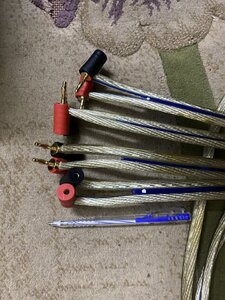 IMG_1295.jpeg