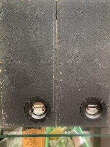 IMG_4443.jpeg