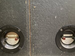 IMG_4444.jpeg