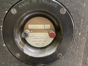 IMG_4445.jpeg