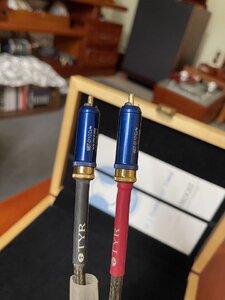 IMG_5519.jpeg