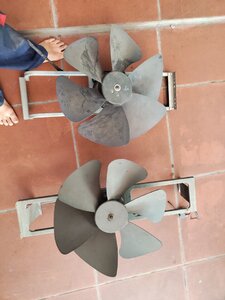 IMG_20250617_125759.jpg