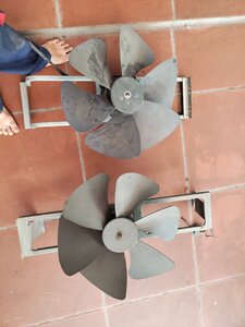 IMG_20250617_125801.jpg