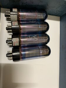 IMG_2238.jpeg