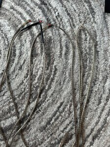 IMG_0665.jpeg