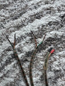 IMG_0586.jpeg
