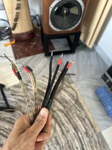 IMG_0526.jpeg