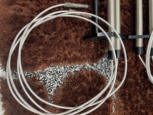 IMG_0785.jpeg