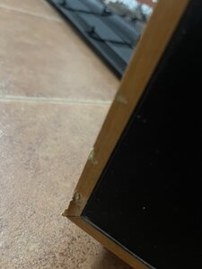 IMG_3332.JPEG