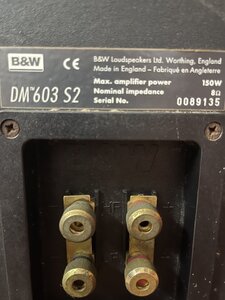IMG_3333.JPEG