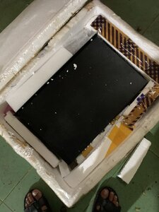 IMG_0993.jpeg